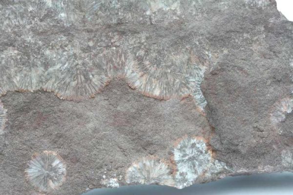 Wavellite - Image 5