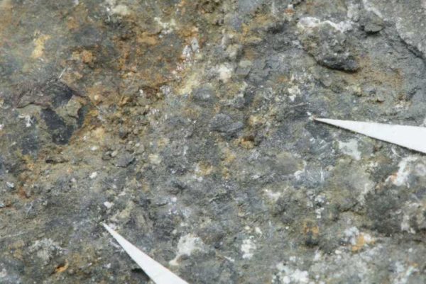 Brandholzite - Image 5