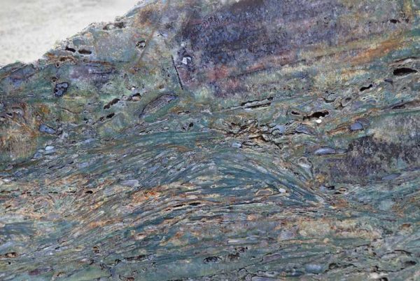 Jasper - Image 5