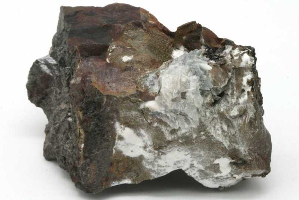 Whewellite - Image 5