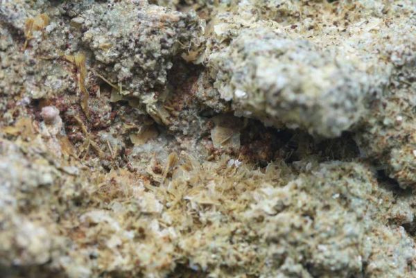 Tridymite - Image 5