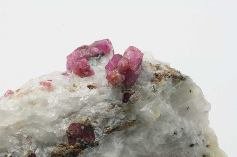 Ruby - Image 5