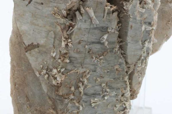 Quartz, apatite - Image 5