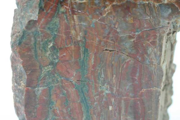 Jasper - Image 5