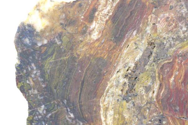 Ferruginous quartz with stromatolites - Image 5