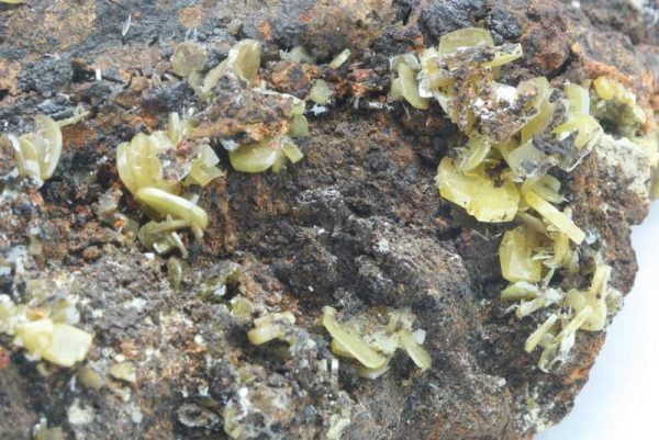 Wulfenite - Image 6
