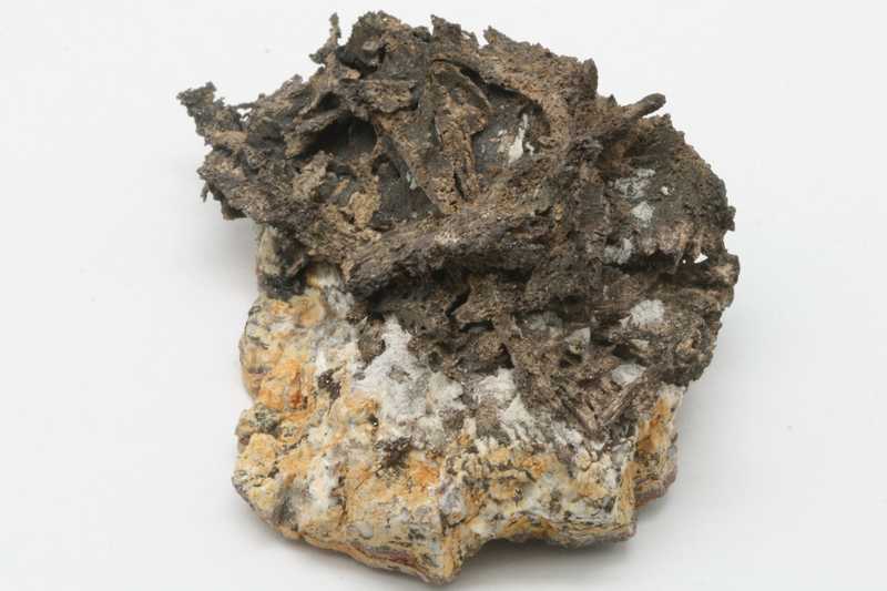 Silver - Image 4