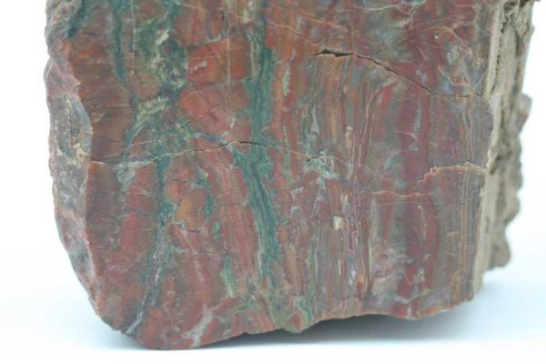 Jasper - Image 6