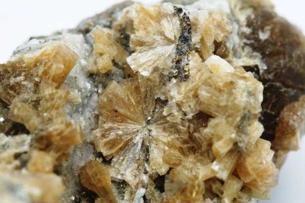 Stellerite - Image 6