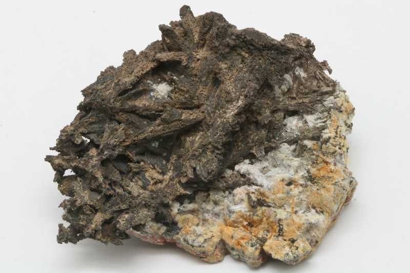 Silver - Image 6