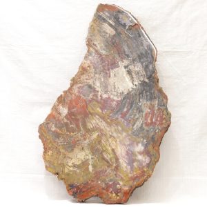 Opalized wood