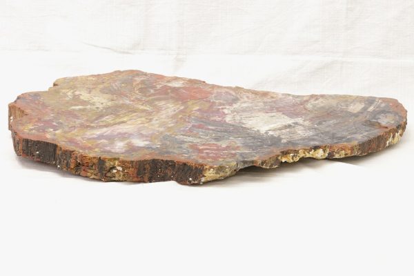 Opalized wood - Image 8