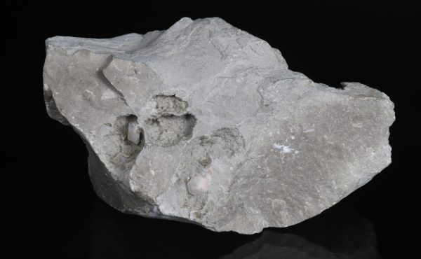 Celestite - Image 2