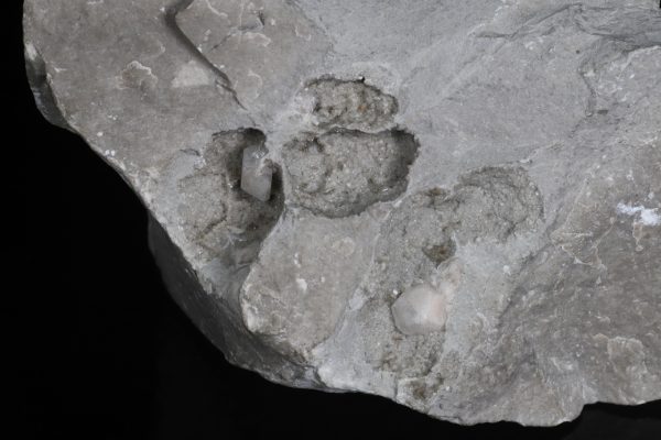 Celestite - Image 4