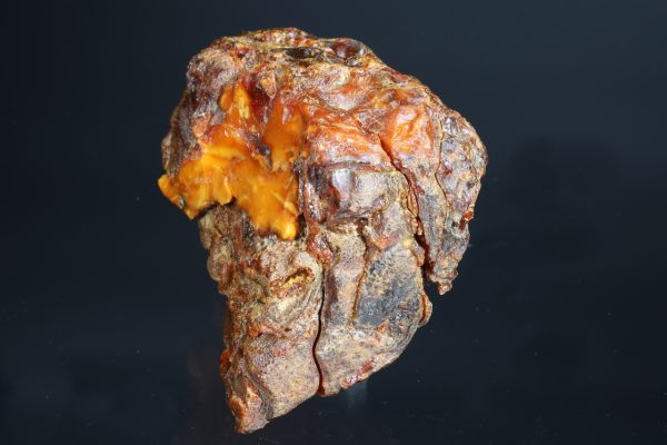Amber - Image 3