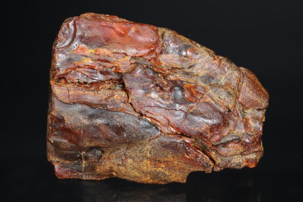 Amber - Image 4