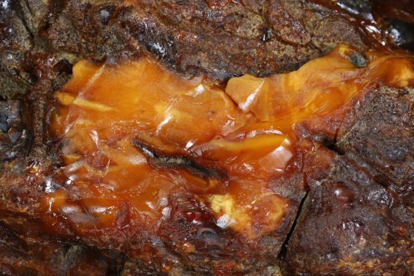 Amber - Image 5