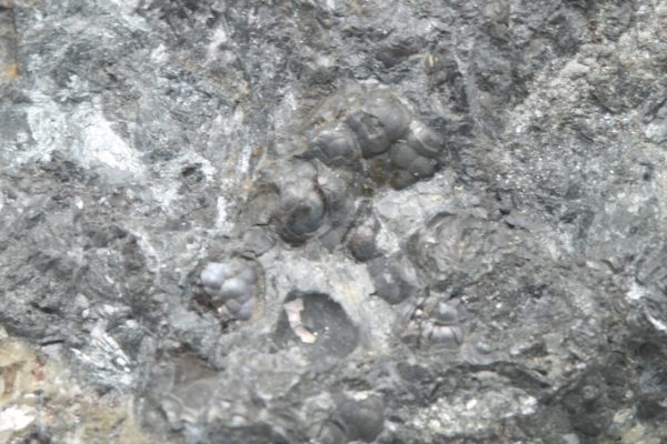 Allemontite, antimony - Image 5