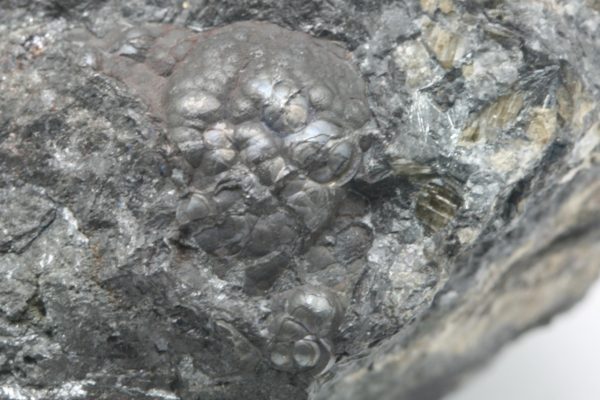 Allemontite, antimony - Image 6