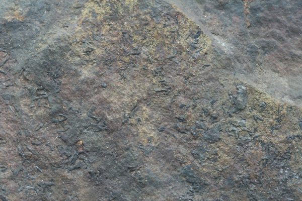 Cronstedtite - Image 6