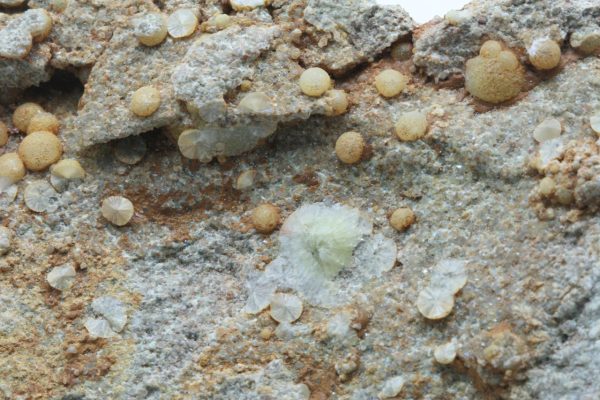 Wavellite - Image 7