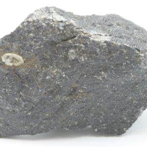 Tschernichite