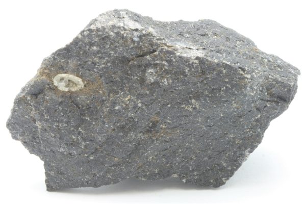 Tschernichite