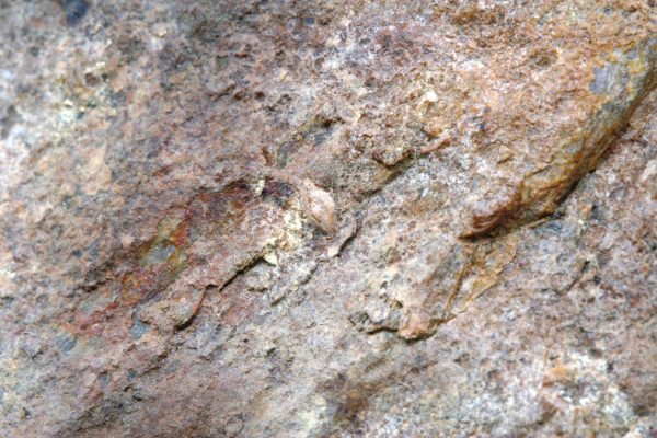 Wulfenite - Image 8
