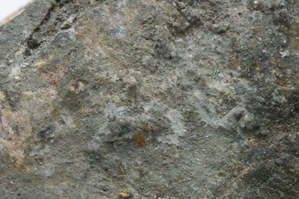 Brandholzite - Image 6