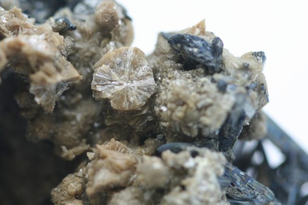 Valentinite, stibnite - Image 10