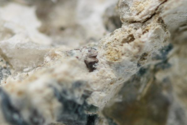 Zircon - Image 4