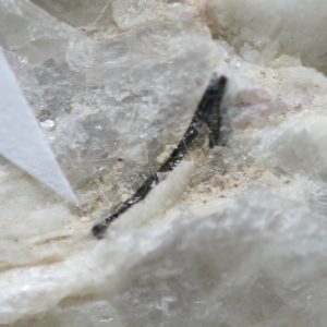 Columbite, verdelite, rubellite, lepidolite