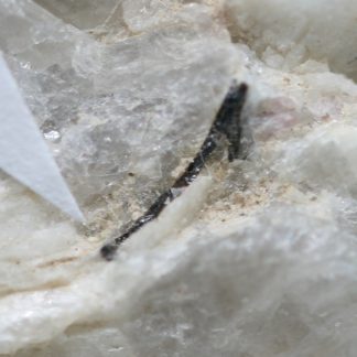 Columbite, verdelite, rubellite, lepidolite