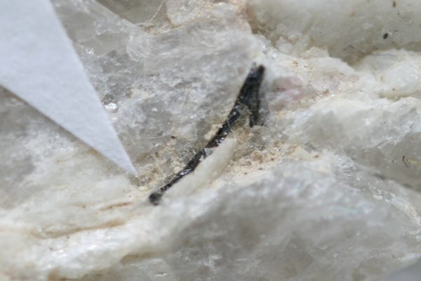 Columbite, verdelite, rubellite, lepidolite