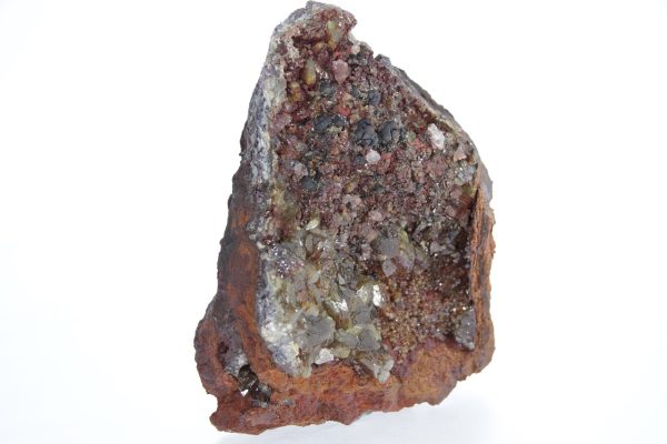 Adamine - Image 3