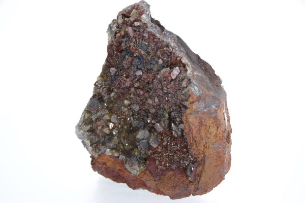 Adamine - Image 5