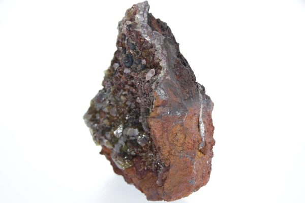 Adamine - Image 6