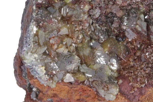 Adamine - Image 7