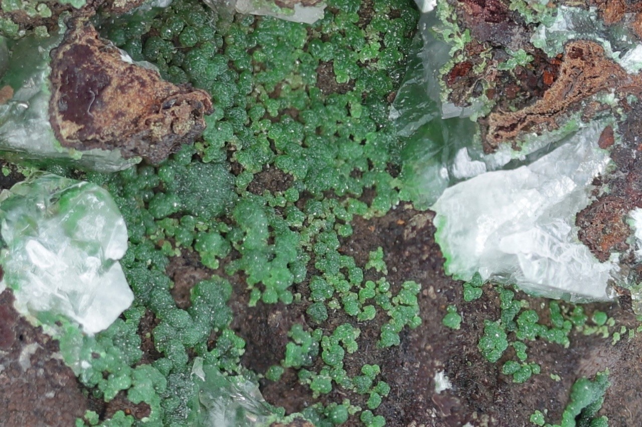 Conichalcite - Image 11