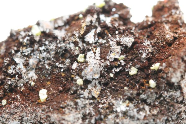 Embolite - Image 5
