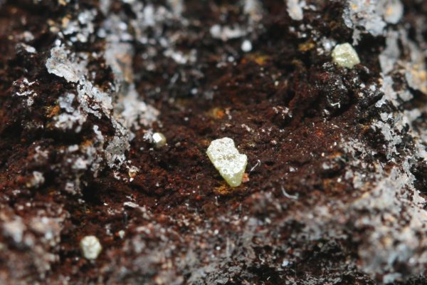 Embolite - Image 7