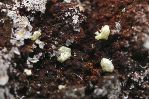 Embolite - Image 8