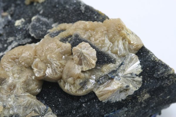 Valentinite, stibnite - Image 10