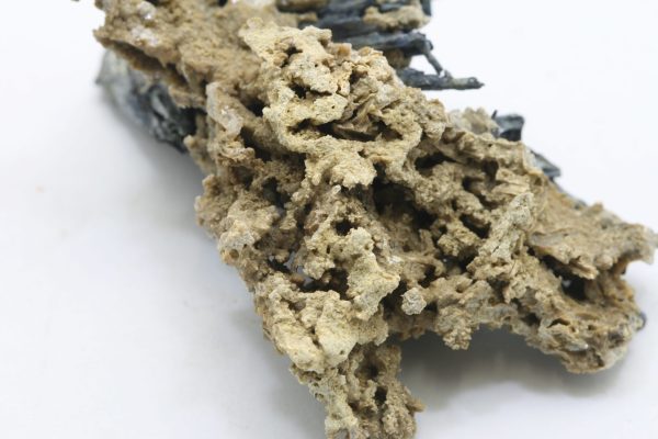 Valentinite, stibnite - Image 6