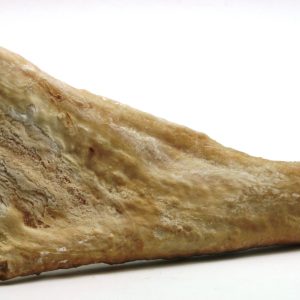 Aragonite