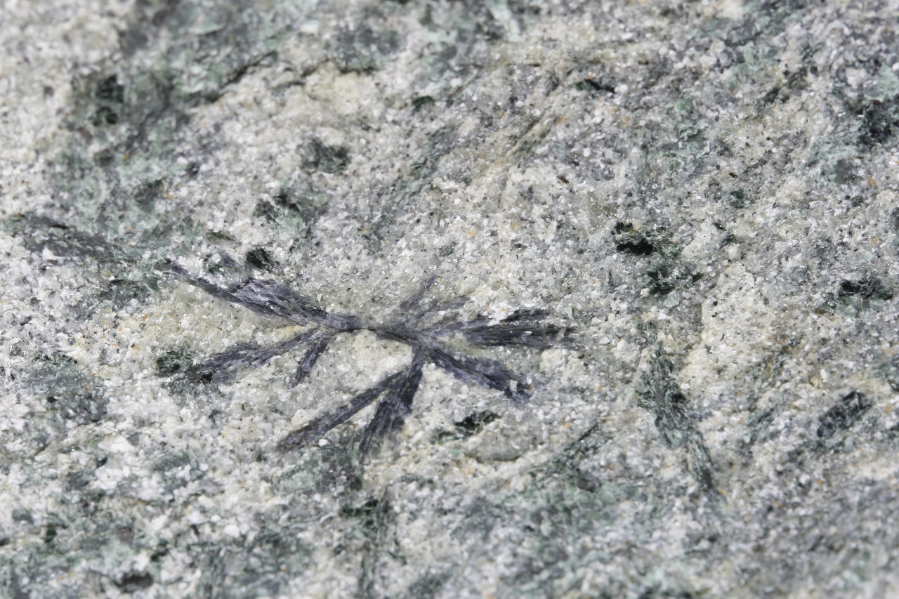 Holmquistite - Image 6