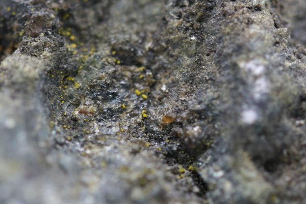 Tetrawickmanite - Image 7