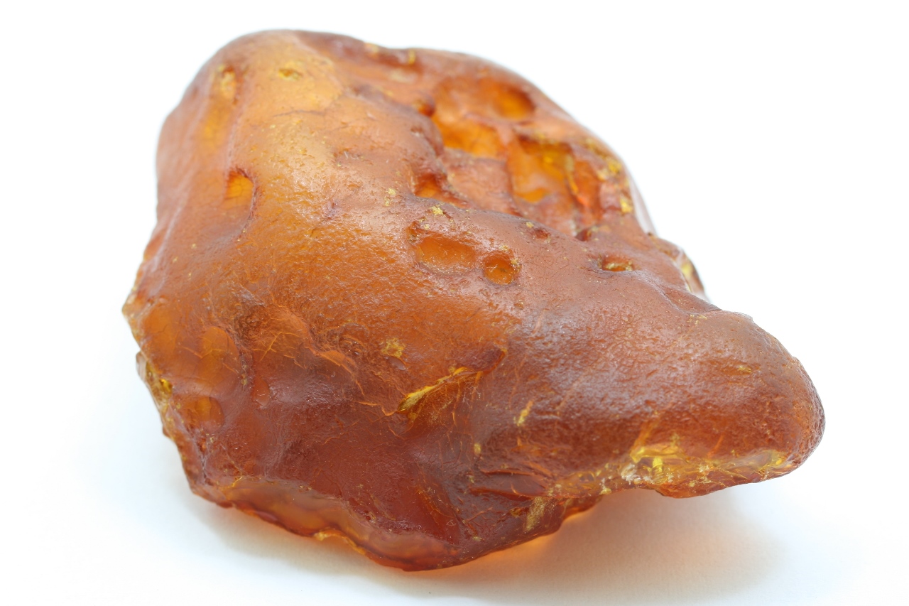 Amber - Image 5
