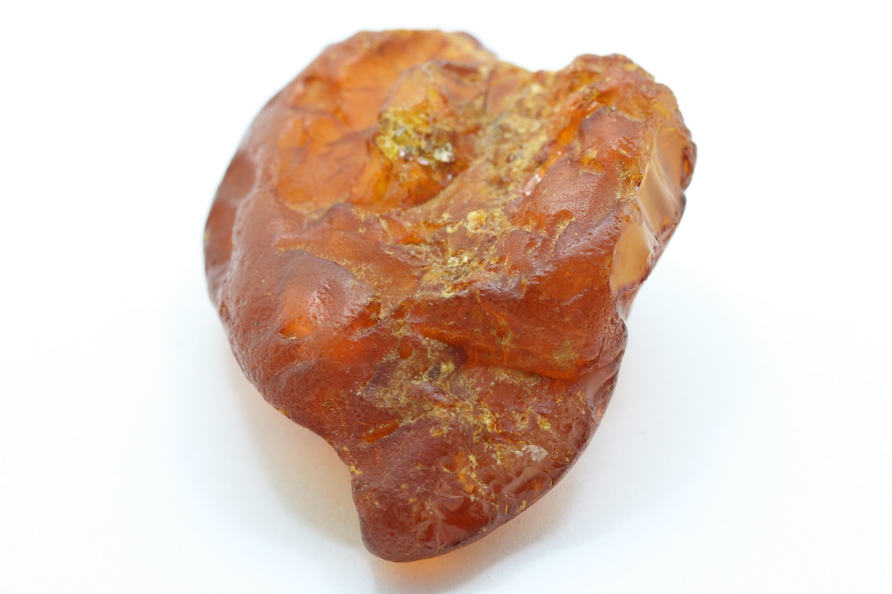 Amber - Image 7