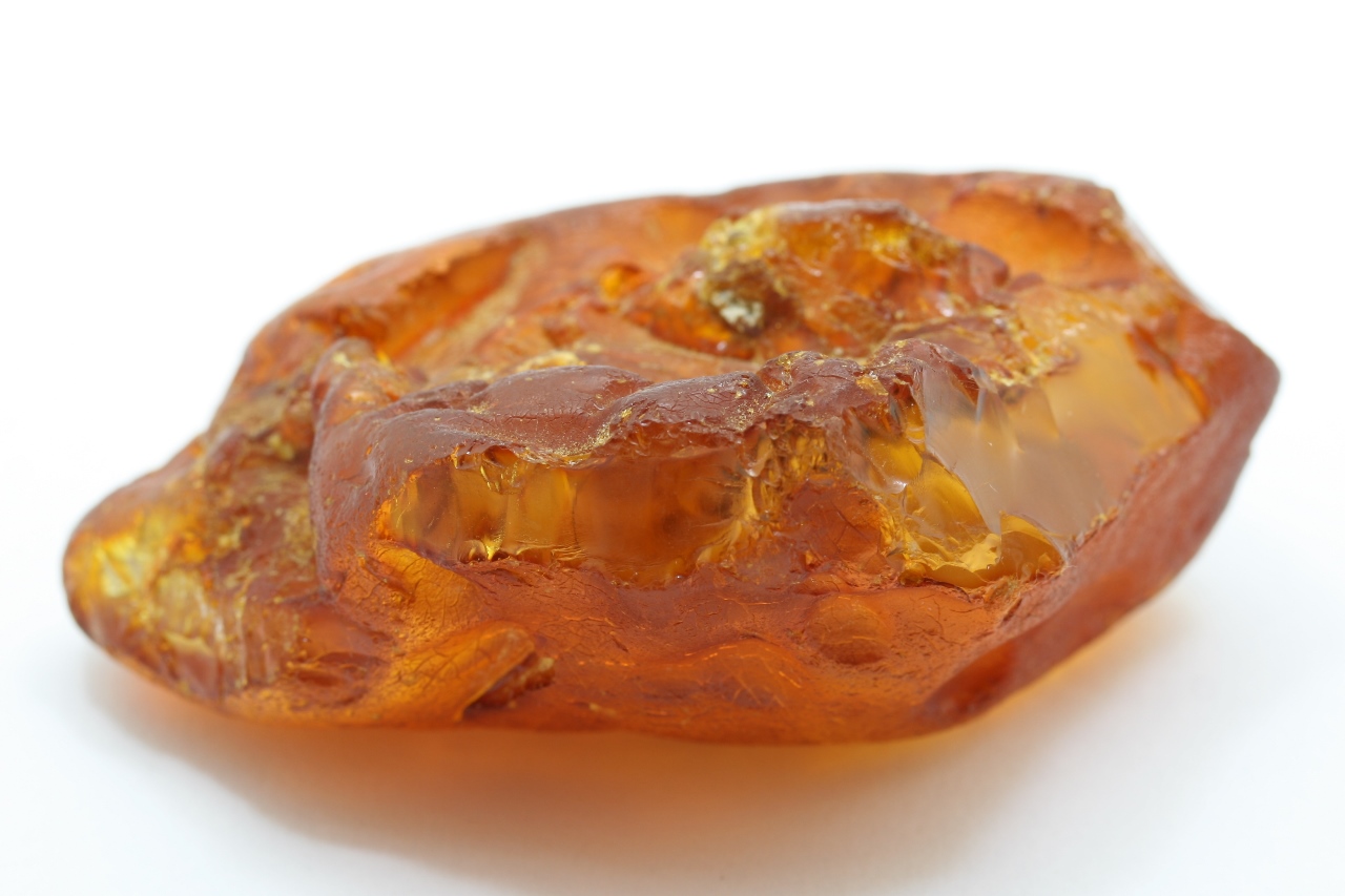 Amber - Image 8